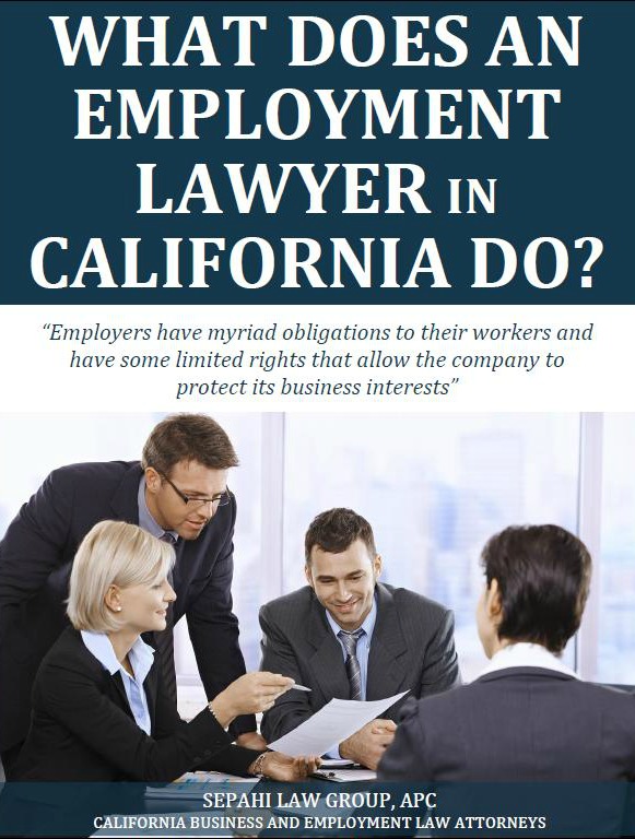 What Does An Employment Lawyer in California Do?