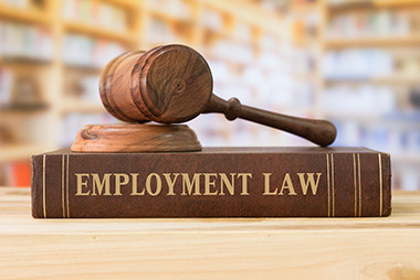 Employment Litigation